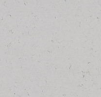 Кварцвиниловые полы Forbo Allura Colour/Colour Plus C68037-651037 cloud фото 1 | FLOORDEALER